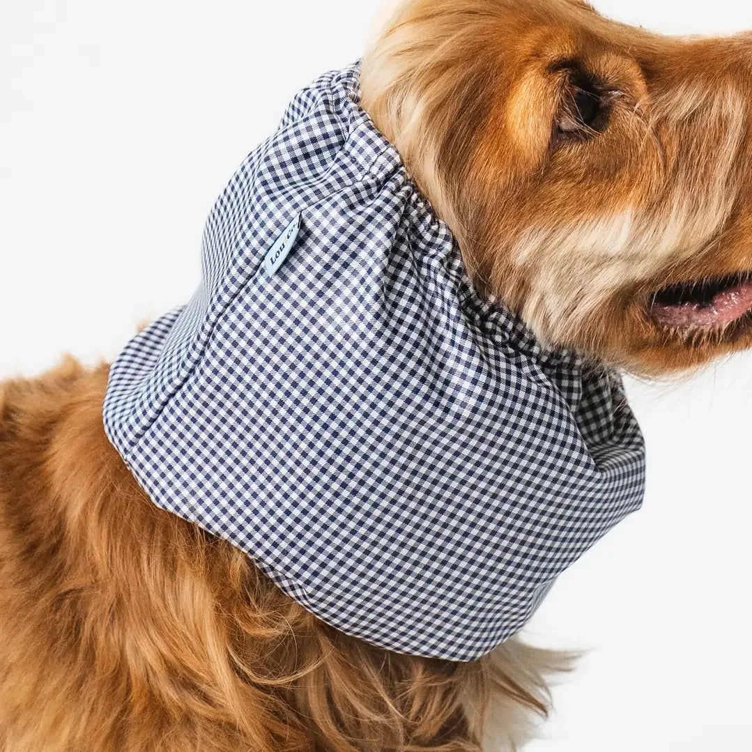 Snood pour chien imperméable à carreaux