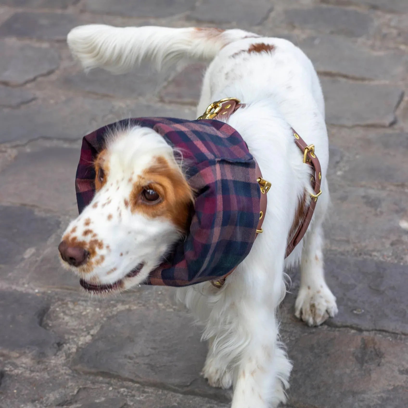 Snood Imperméable réversible