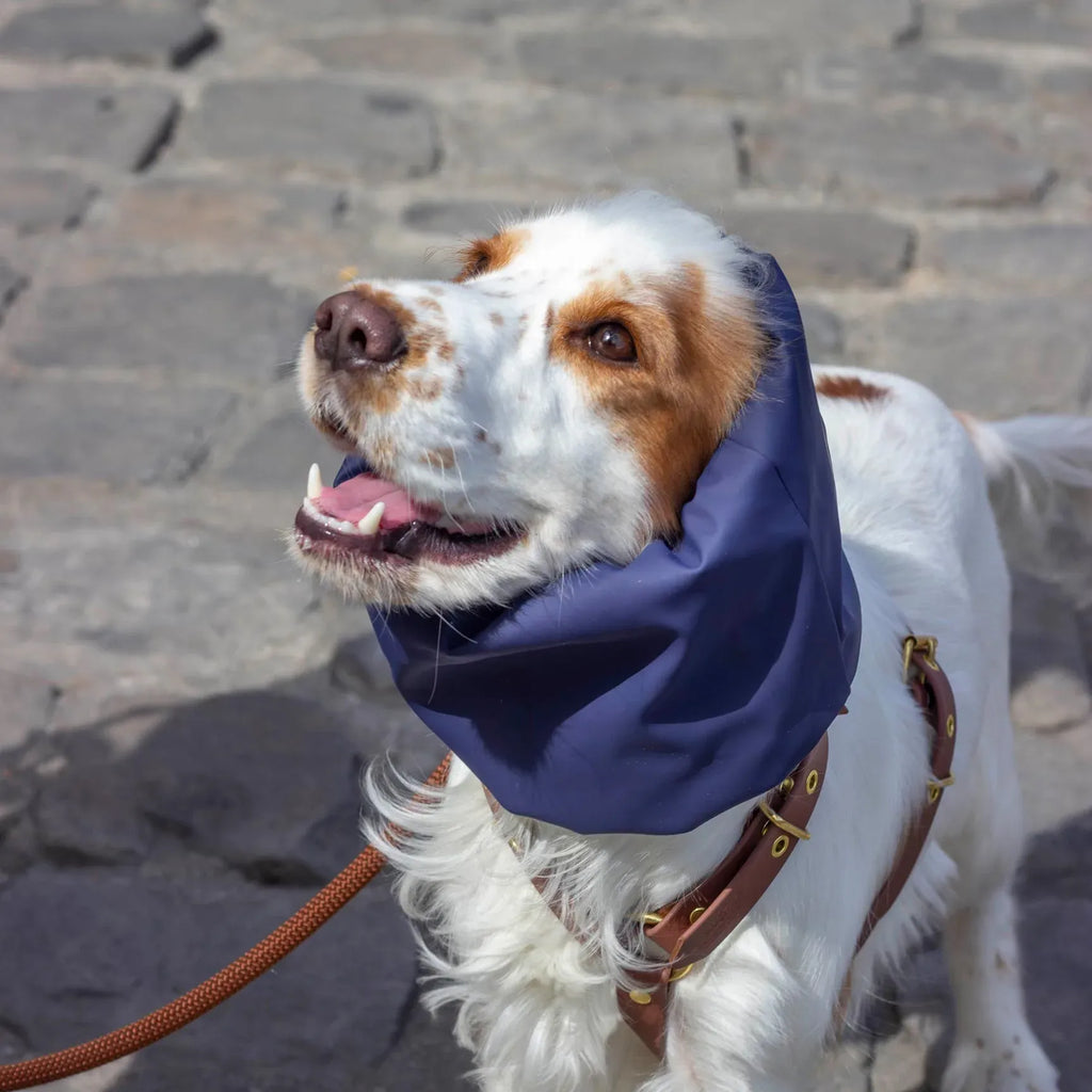 Snood Imperméable réversible