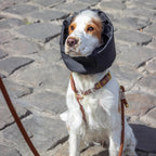 Snood Imperméable réversible