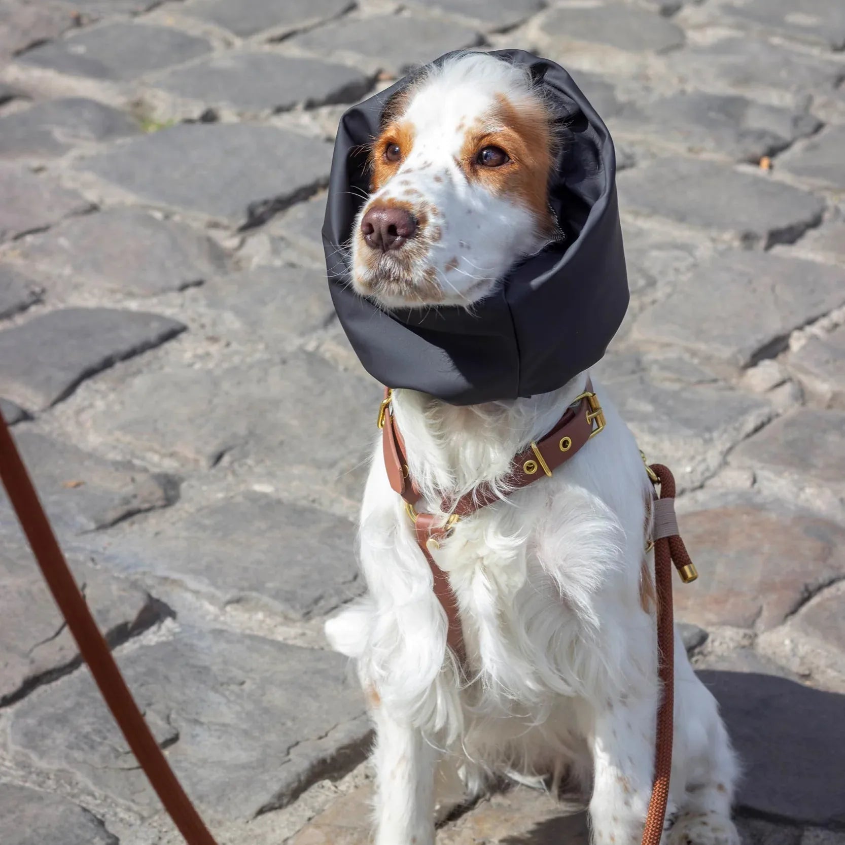 Snood Imperméable réversible