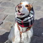 Snood Imperméable réversible