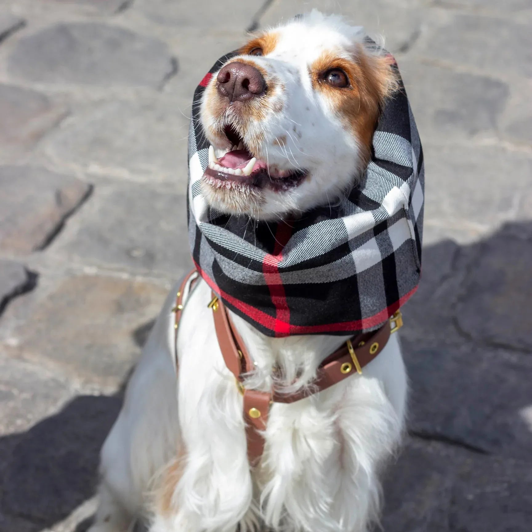 Snood Imperméable réversible