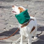 Snood Imperméable réversible