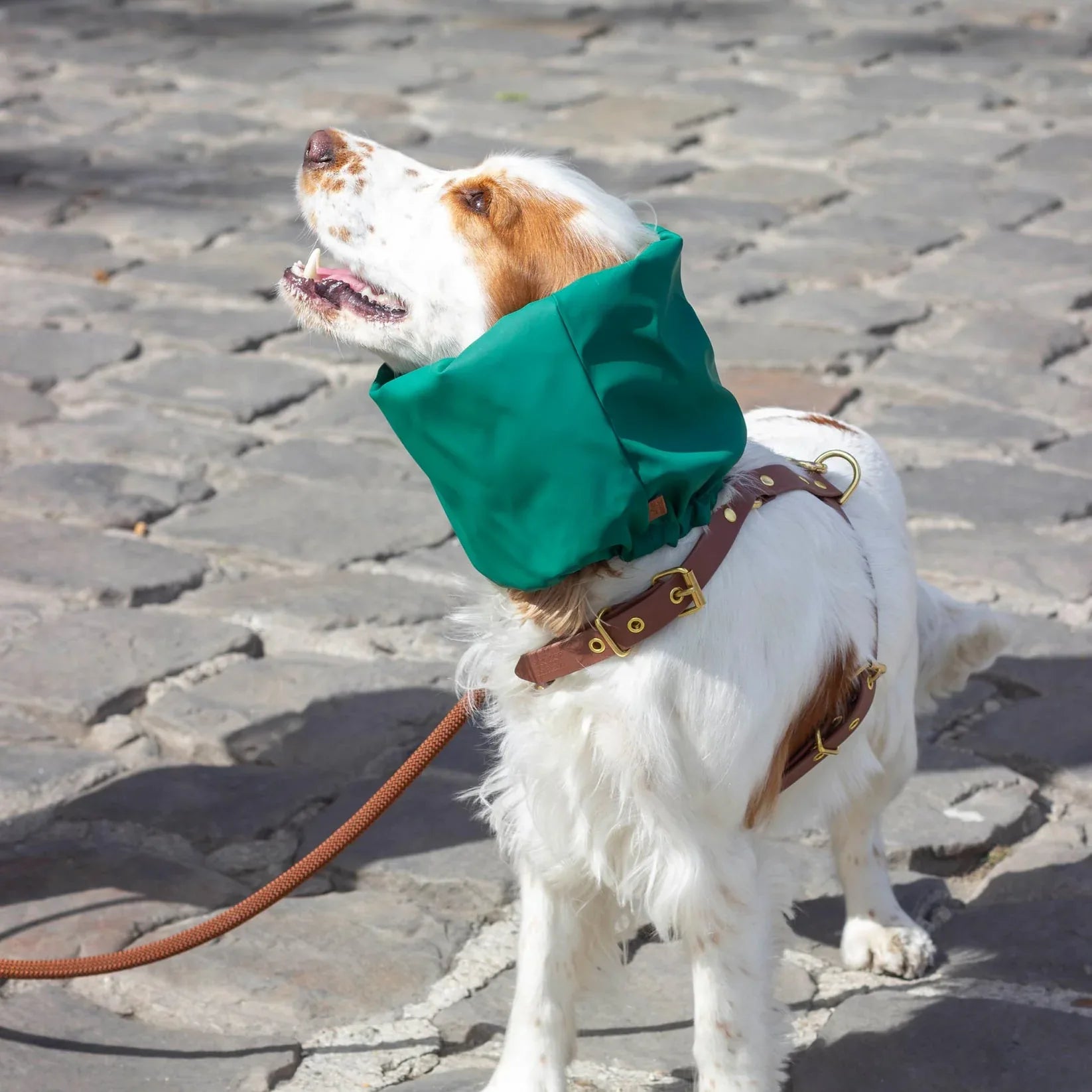 Snood Imperméable réversible