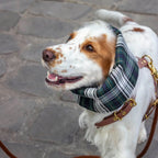 Snood Imperméable réversible