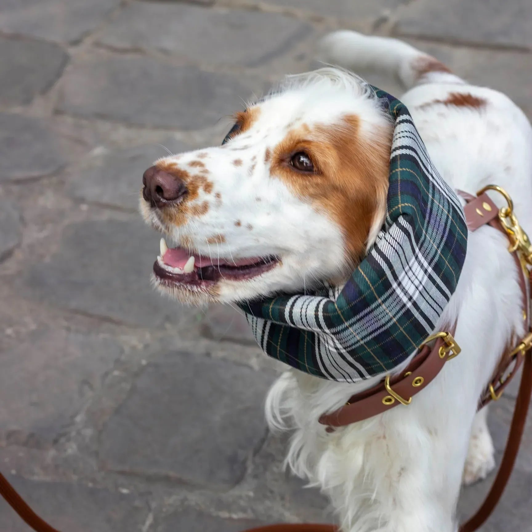 Snood Imperméable réversible