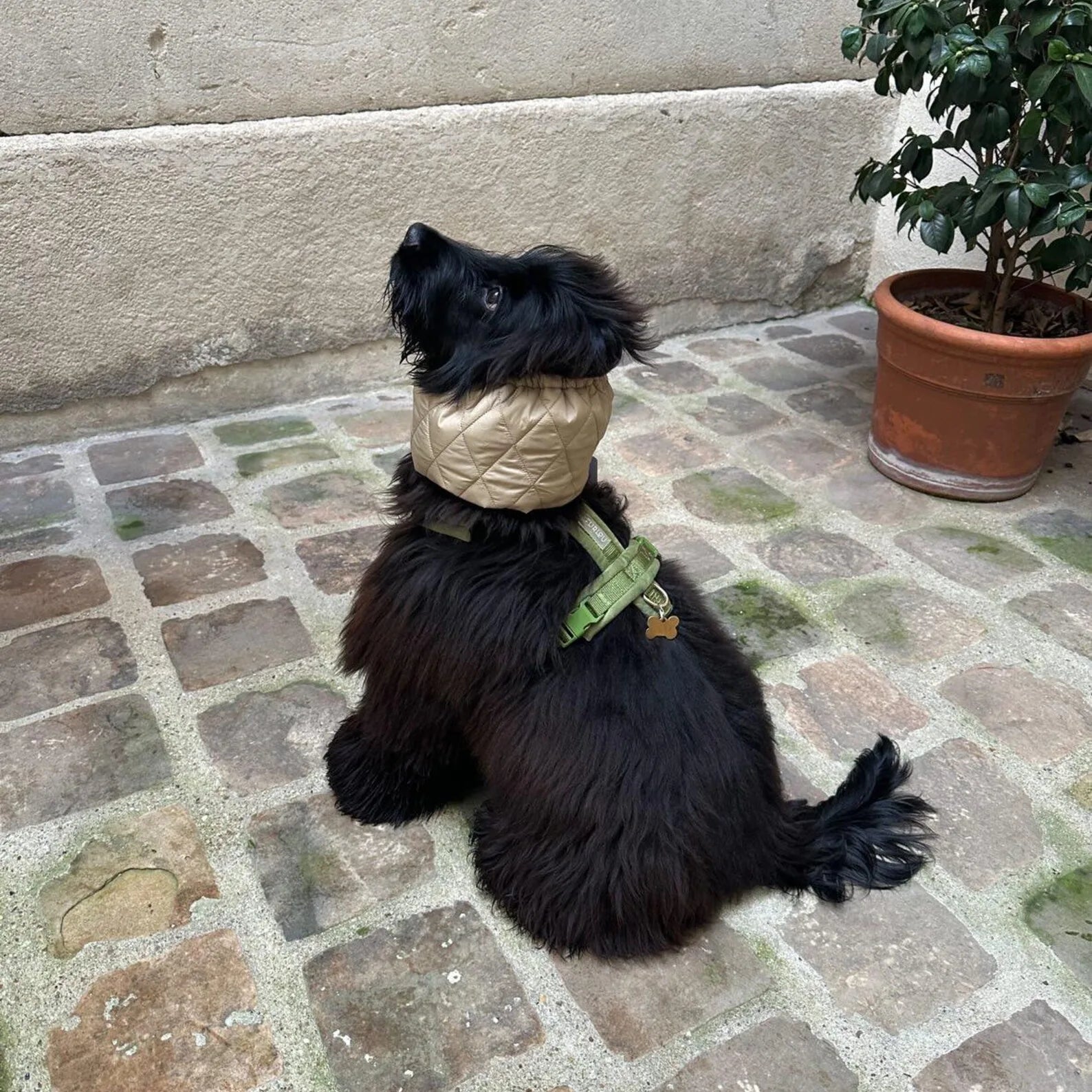 Snood Doudoune
