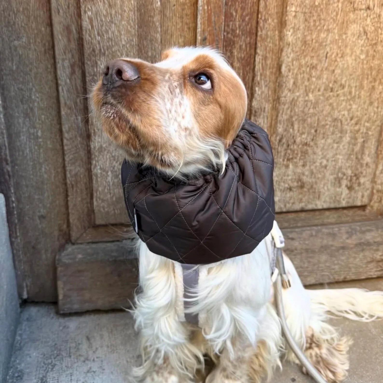 Snood Doudoune