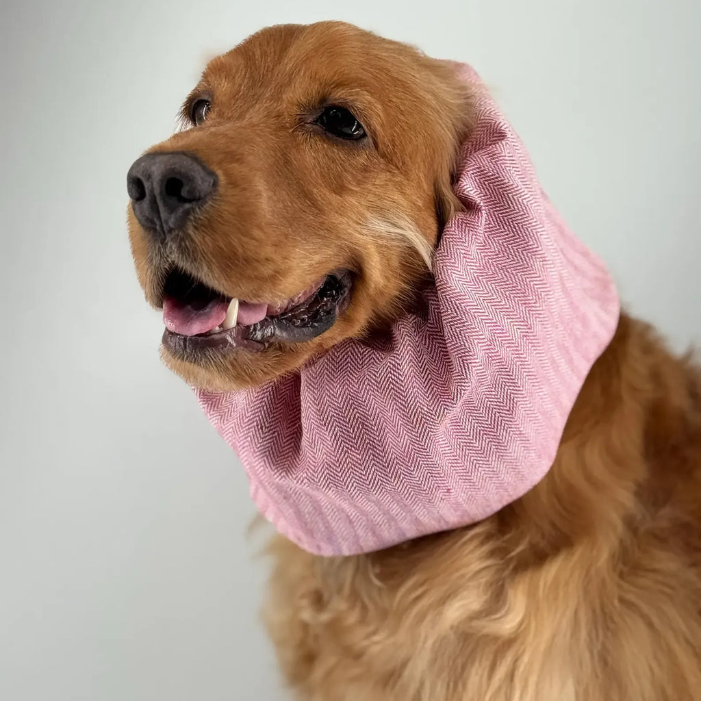 Snood Lin Rose