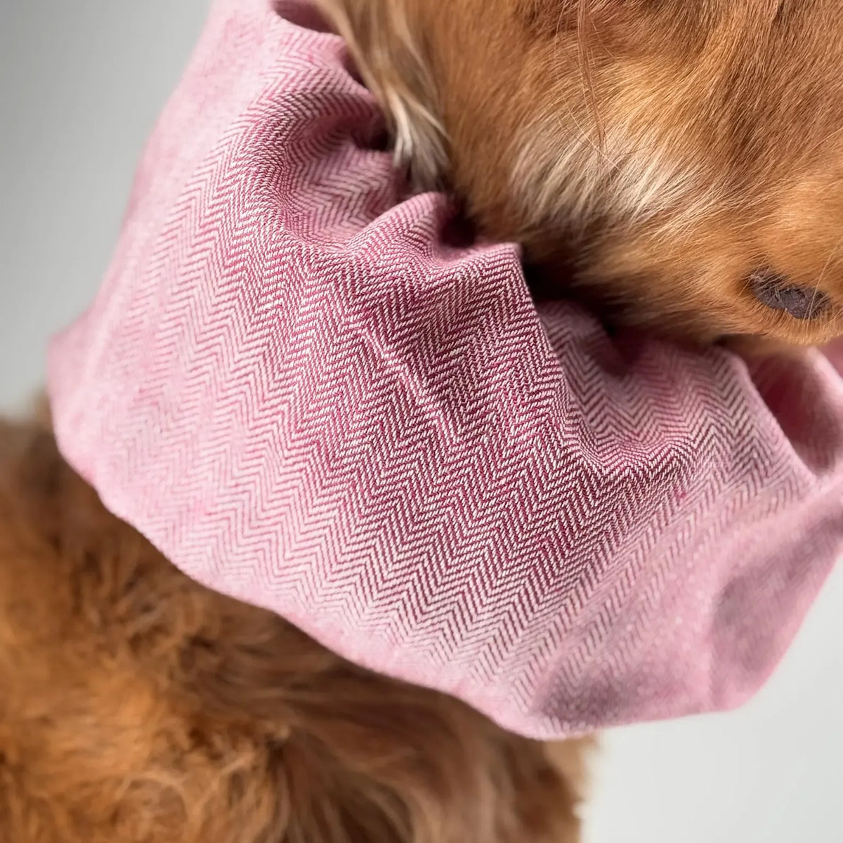 Snood Lin Rose