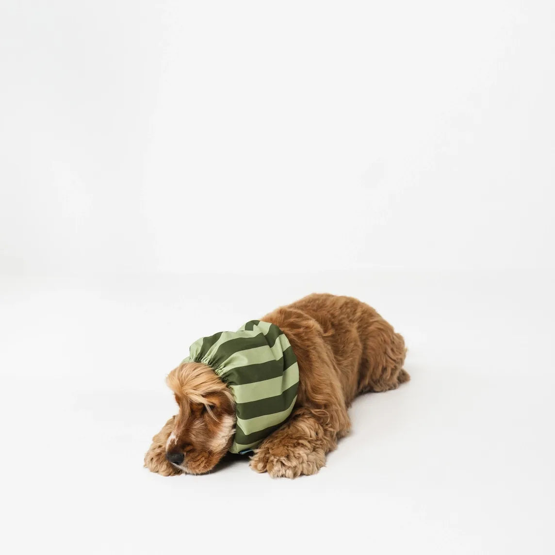 Snood pour chien à rayures vertes