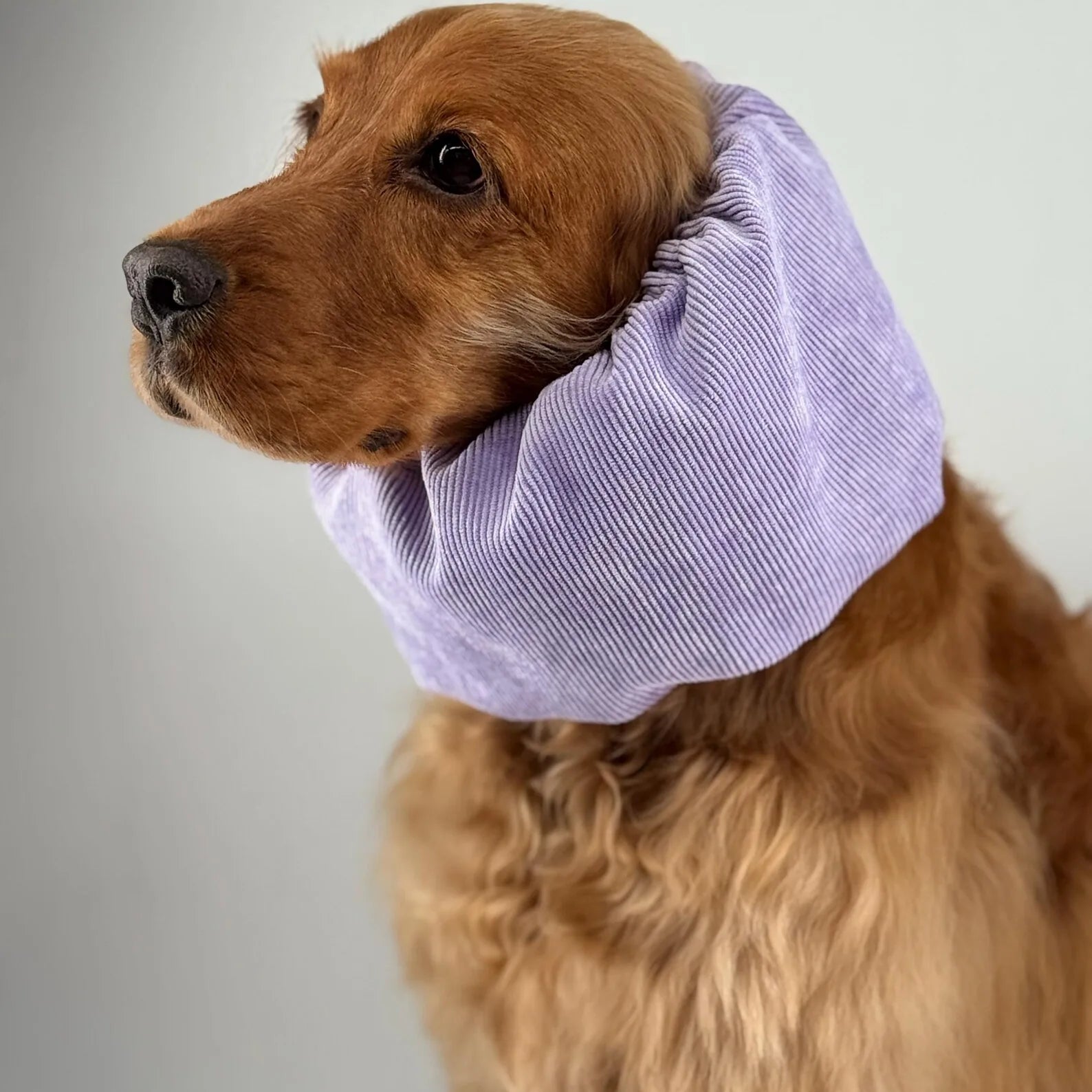 Snood Velour