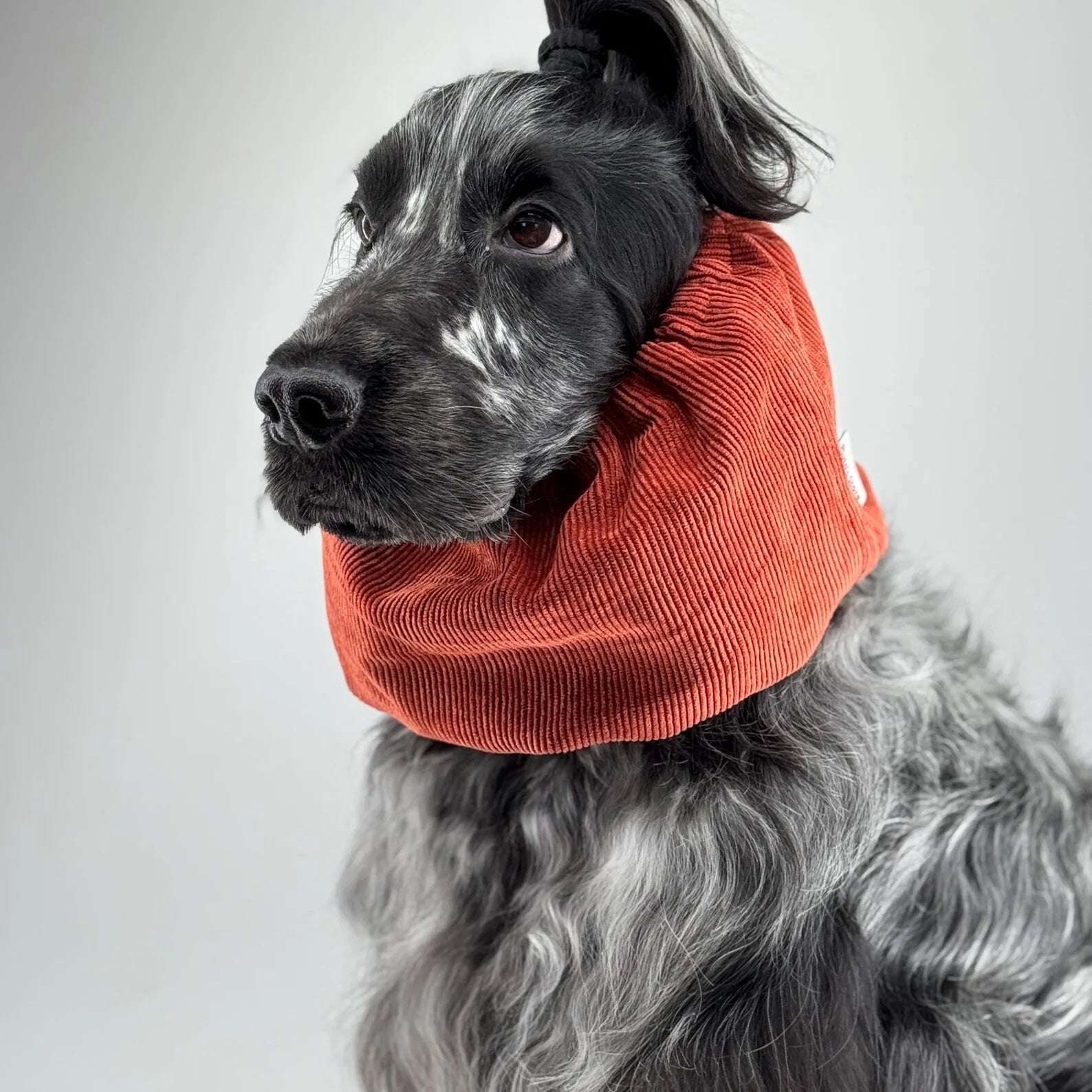 Snood Velour