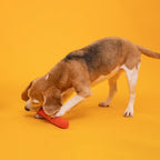Jouet pour chien en laine - Stock
