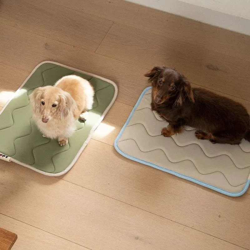 Tapis rafraîchissant à mémoire de forme - chiens sur tapis
