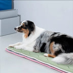 Tapis rafraîchissant à mémoire de forme - Kaki, chien allongé