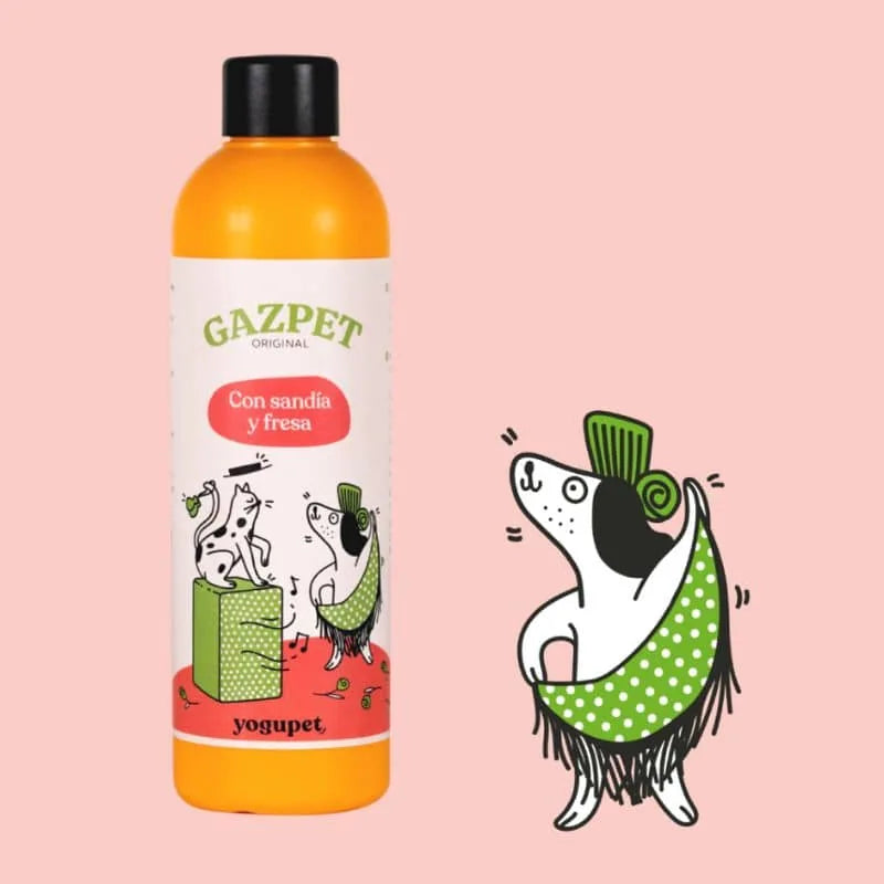 Gaspacho pour chien ou chat - Gazpet