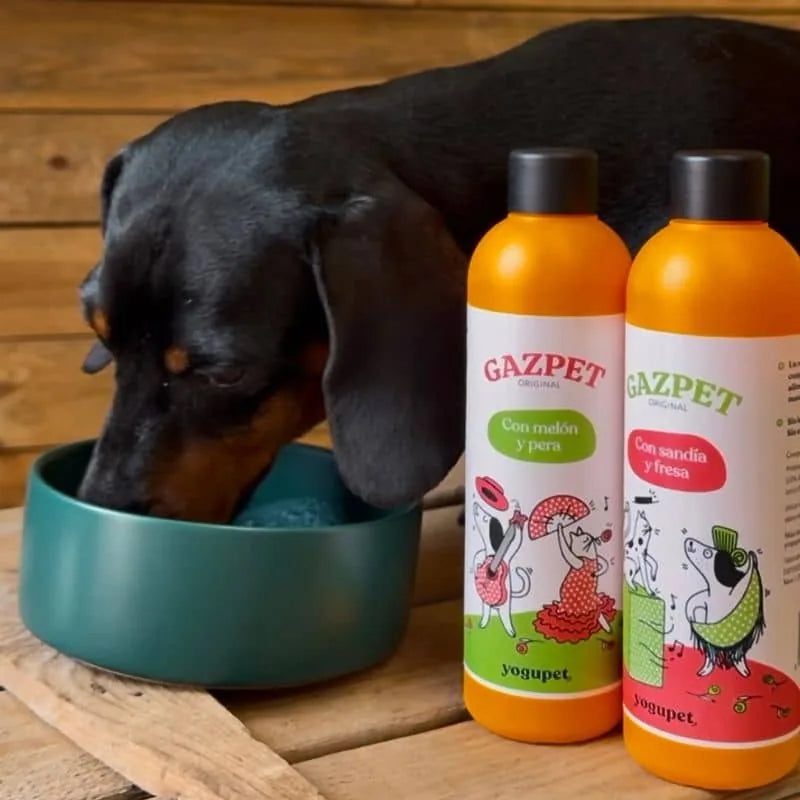 Gaspacho pour chien ou chat - Gazpet pastèque et fraise