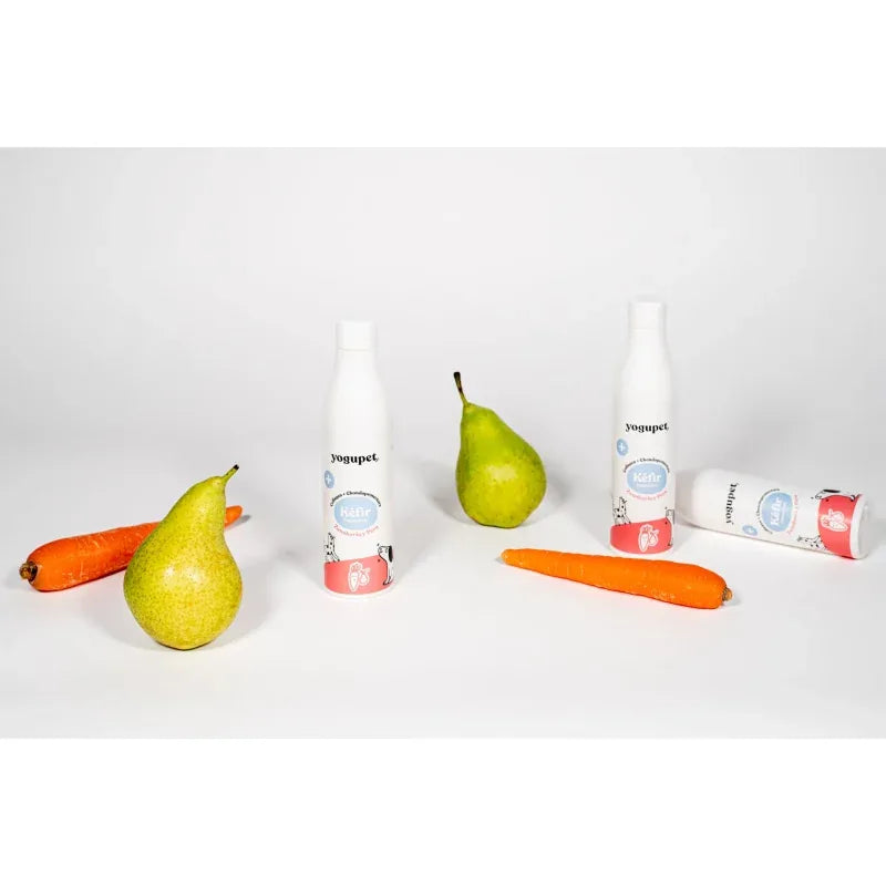 Kéfir pour chien ou chat