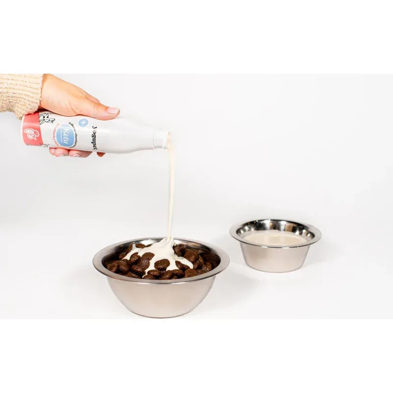 Kéfir pour chien ou chat