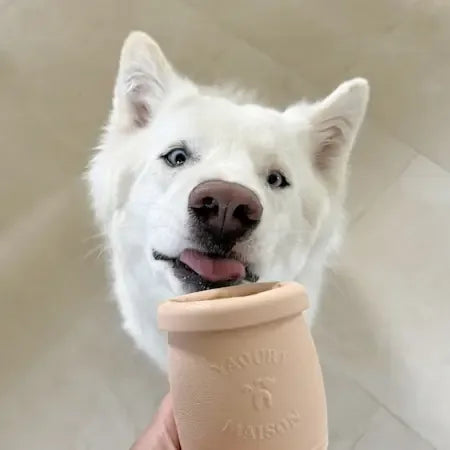 Yoomy Pot – Jouet d'occupation pour chien